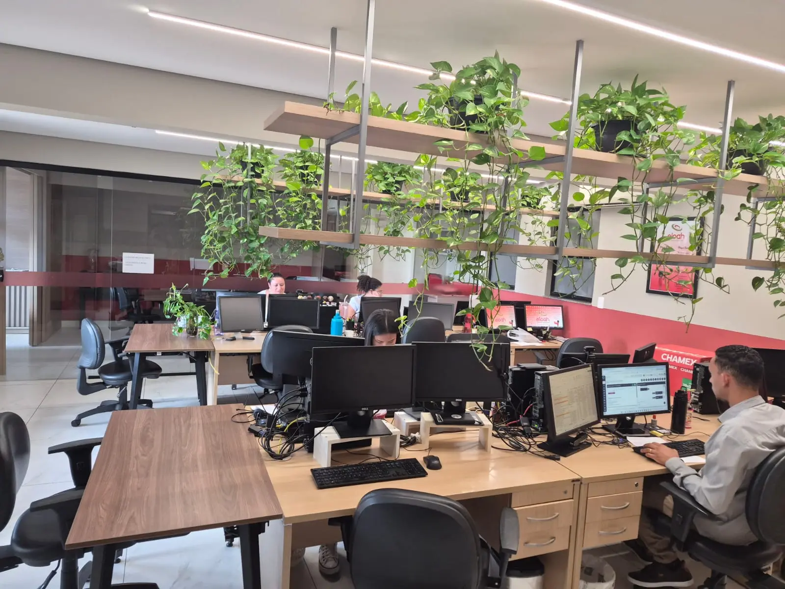 Ambiente corporativo Eloah Consultoria & Contabilidade